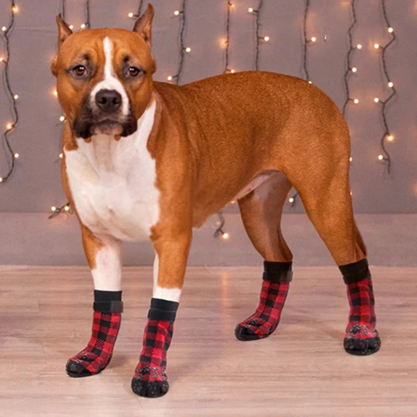 chaussette chien parquet