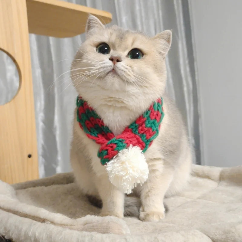 Echarpe de Noël Chat