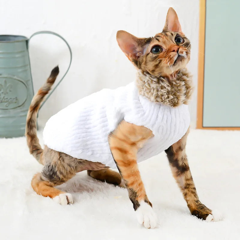 Pull Blanc Fourrure Chat