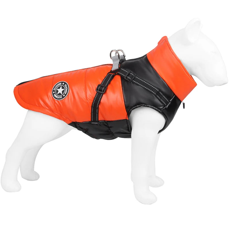 manteau imperméable pour jack russel