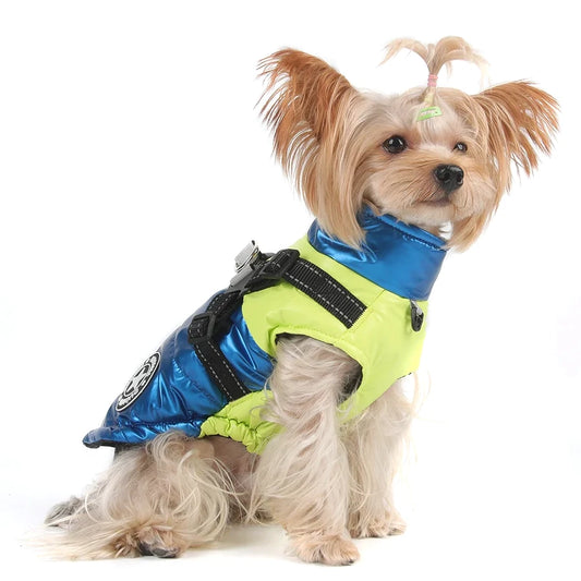 Manteau Chien Yorkshire Terrier