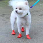 Chaussette Silicone Chien - Vignette | La Truffe Pimpante