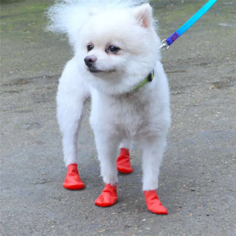 Chaussette Silicone Chien