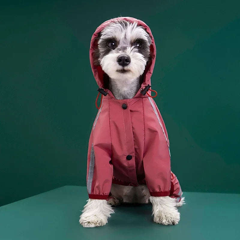 manteau capuche chien