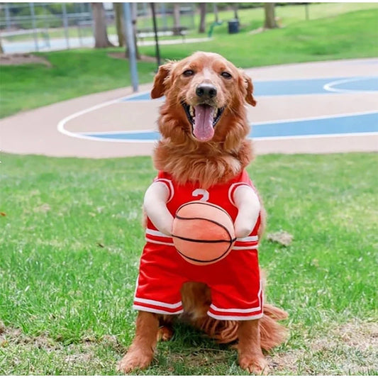 Déguisement Basketteur pour Chien