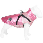 Manteau Jack Russel / Petit Chien - Vignette | La Truffe Pimpante