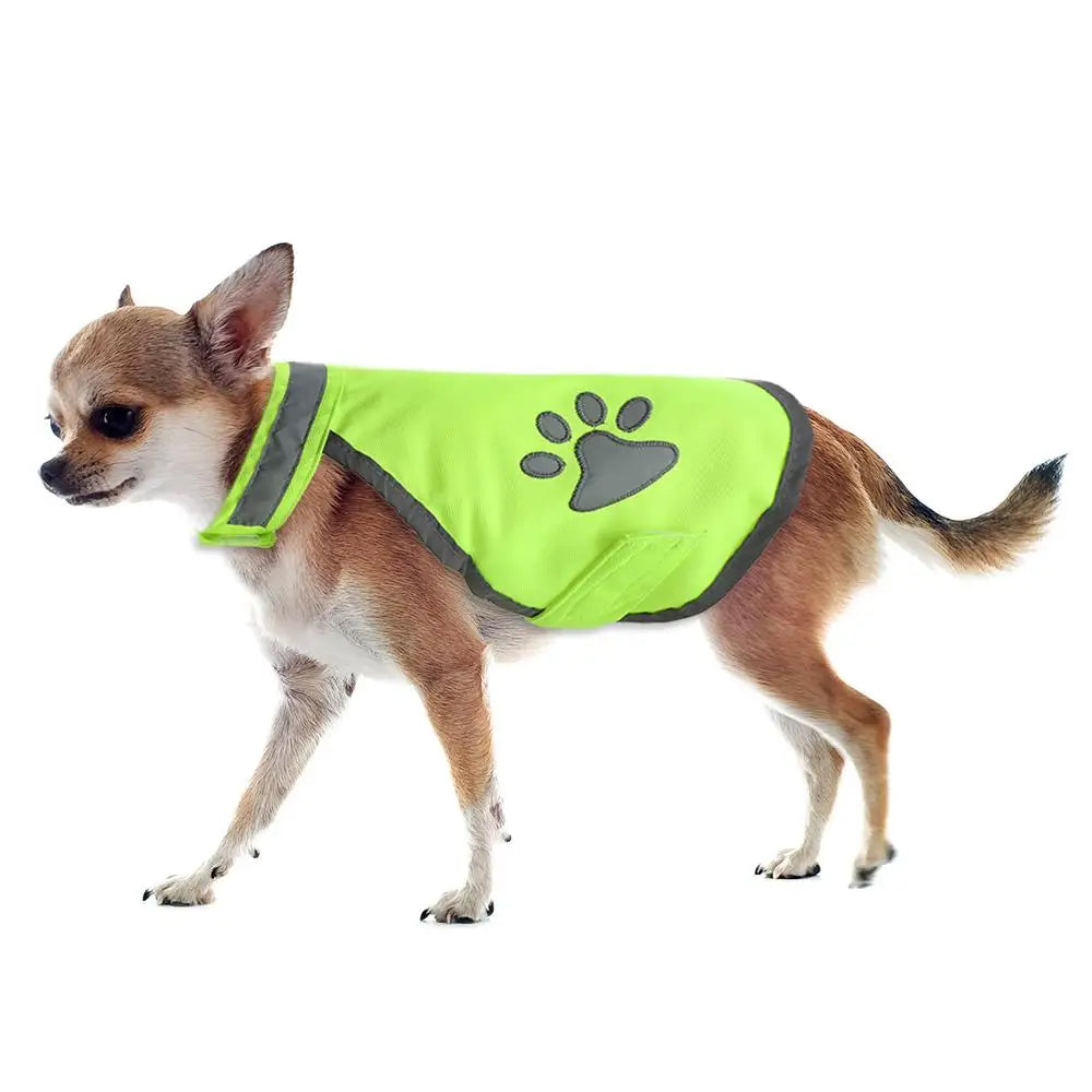 Gilet Réfléchissant chien