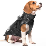 Manteau Jack Russel / Petit Chien - Vignette | La Truffe Pimpante