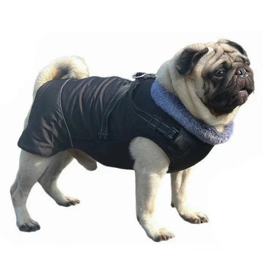 Veste Fourrure Chien