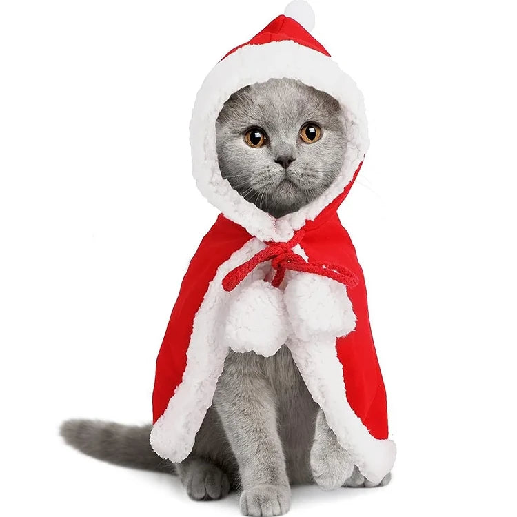 déguisement père noël chat