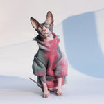 Veste pour Chat Sphynx - Vignette | La Truffe Pimpante