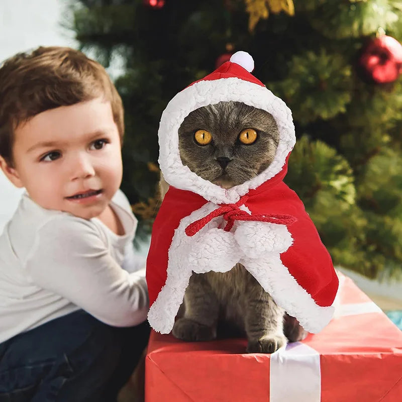 Déguisement Noël Chat