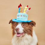 Chapeau d'Anniversaire pour Chien - Vignette | La Truffe Pimpante