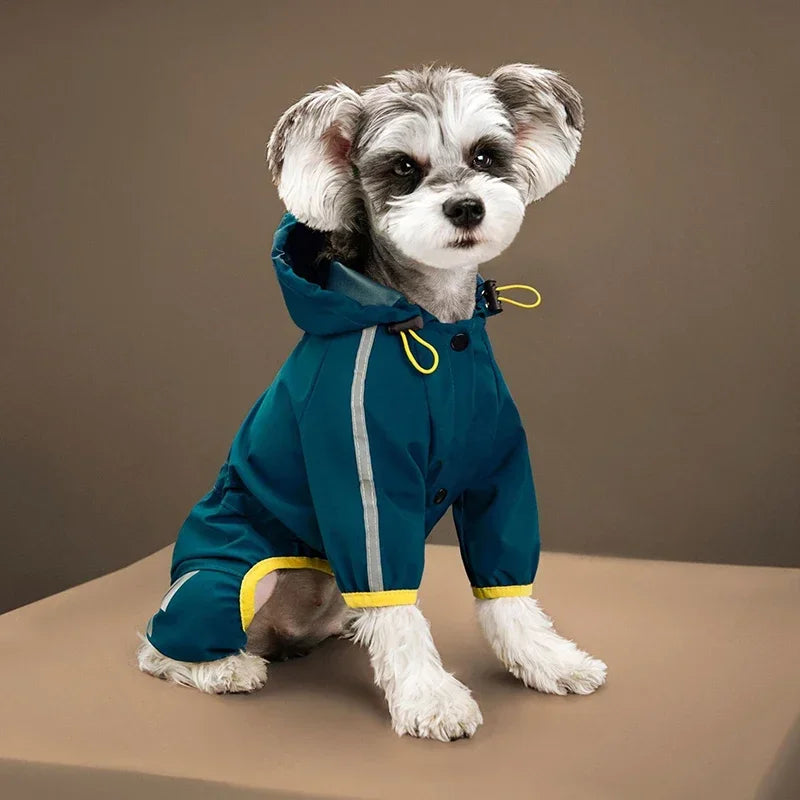 blouson chien capuche