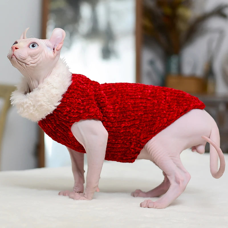 Tricot Fourrure Sphynx