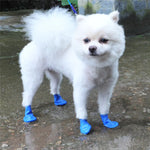 Chaussette Silicone Chien - Vignette | La Truffe Pimpante