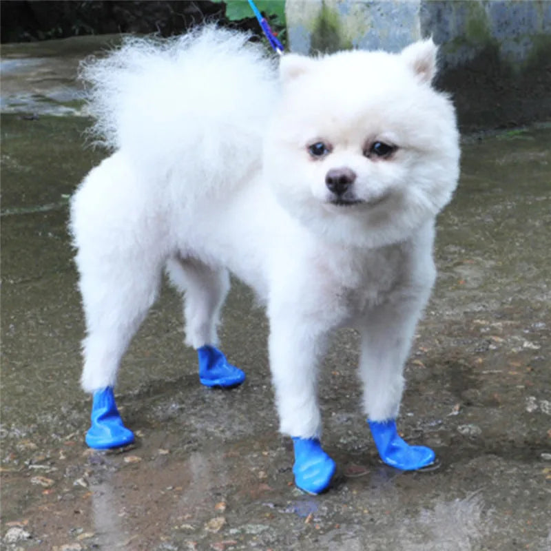 Chaussette caoutchouc chien