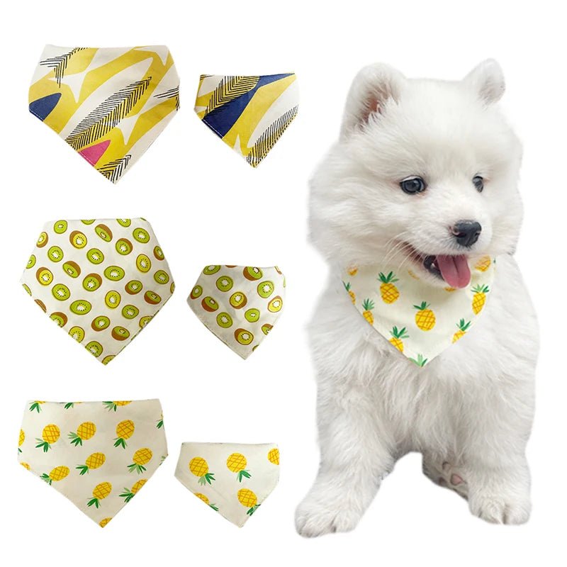 bandana fruits chien