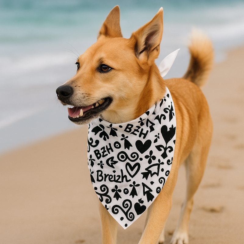 Bandana Breton pour Chien