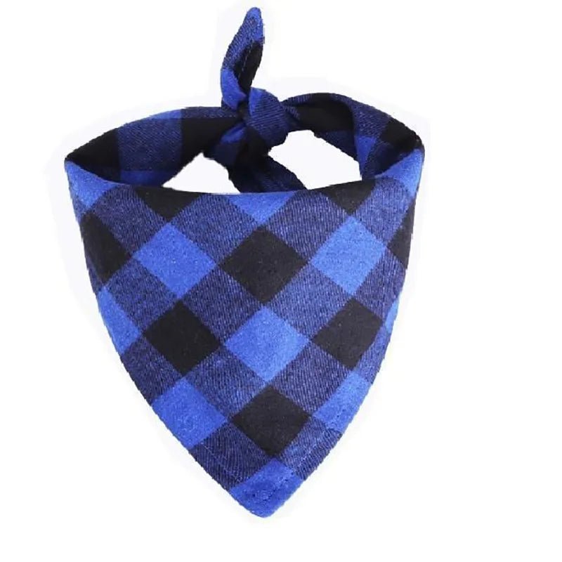 bandana bleu carreaux chien