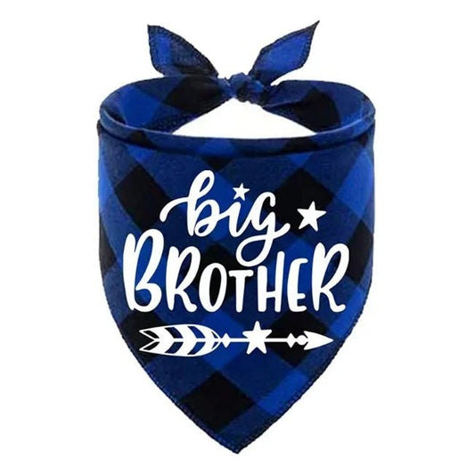 bandana big brother chien