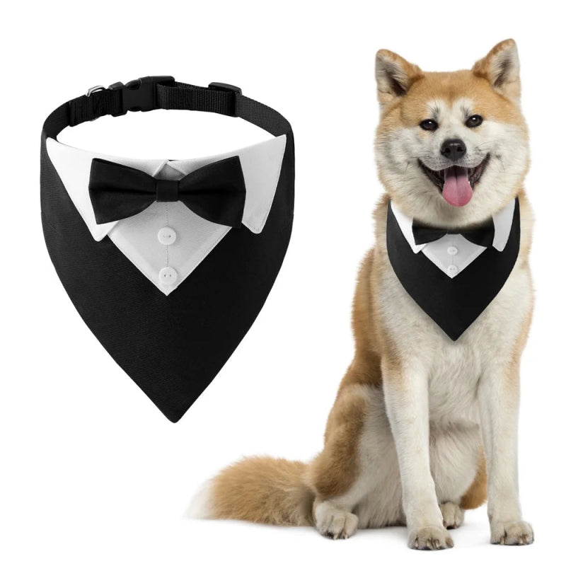 Bandana Chien Mariage