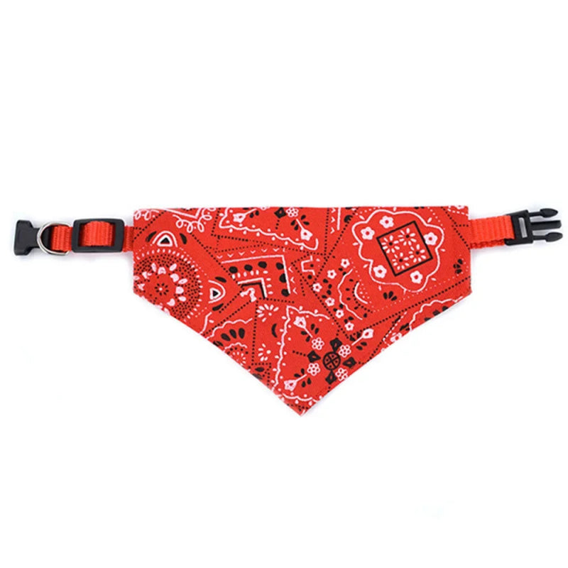 bandana rouge chien