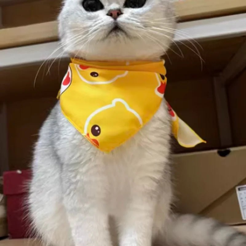 bandana jaune chat