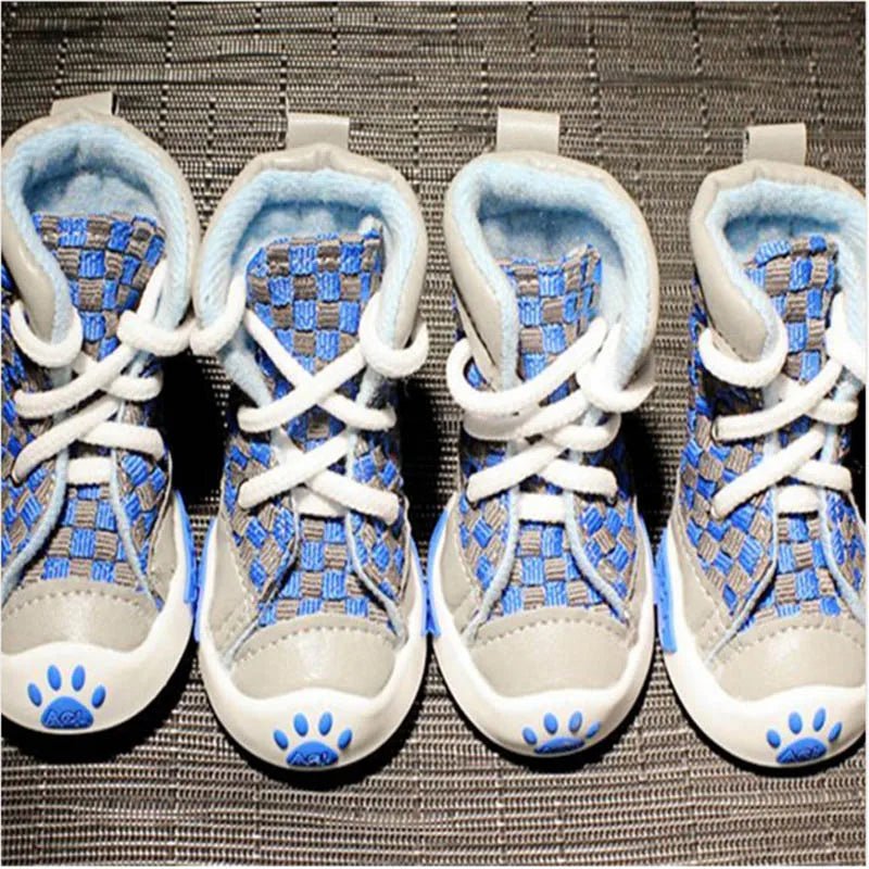 baskets bleu chien