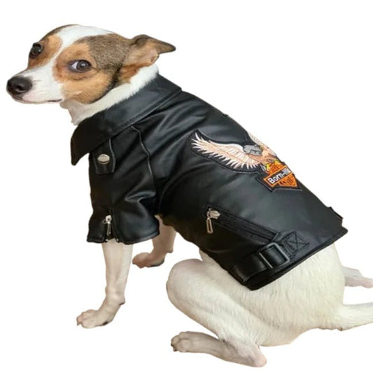 Blouson Cuir Pour Chien