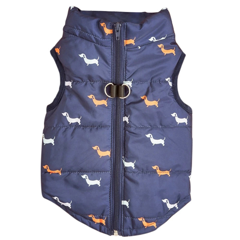 Blouson pour Petit Chien Bleu