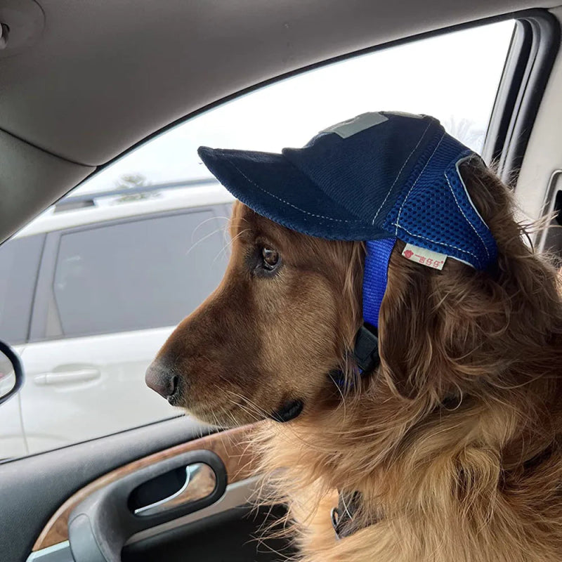 Casquette Americaine Bleu Chien