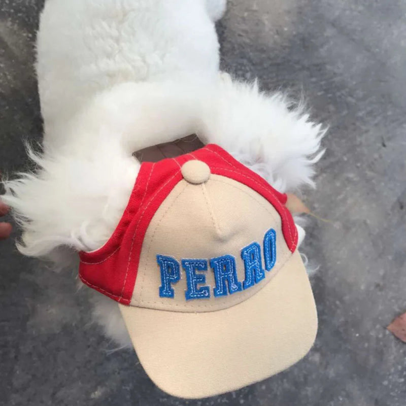 Casquette Perro Chien