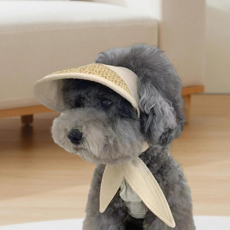 Casquette Chien Canvas