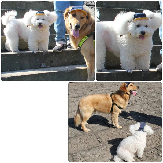 Casquette en Jean pour Chien