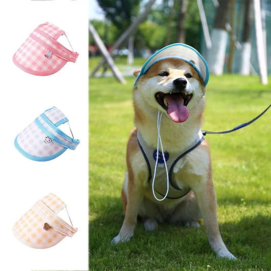 Casquette Plate Chien