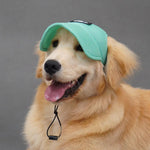 Casquette pour Golden & Grand Chien - Vignette | La Truffe Pimpante