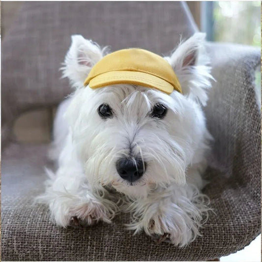 Casquette pour Teckel & Moyen Chien