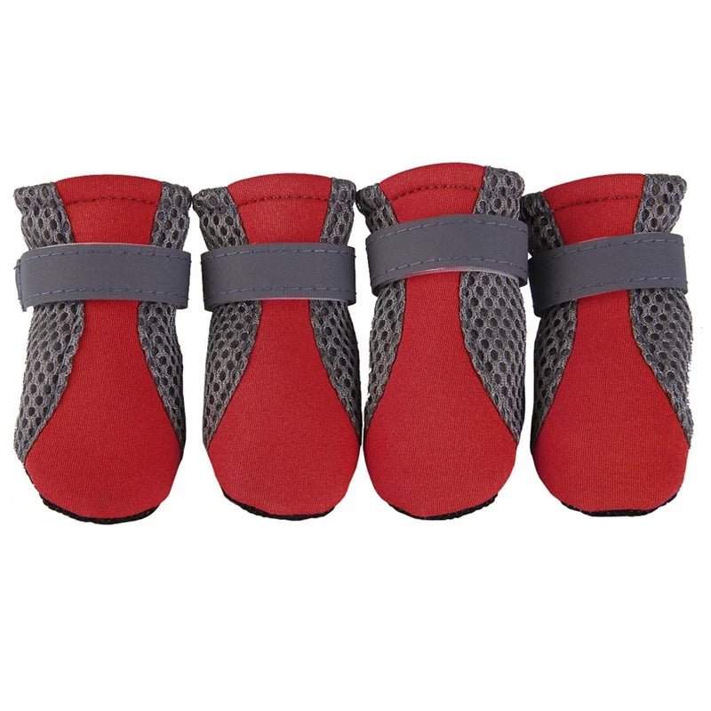 chausson marche chien rouge