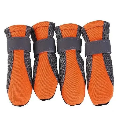 chausson marche chien orange