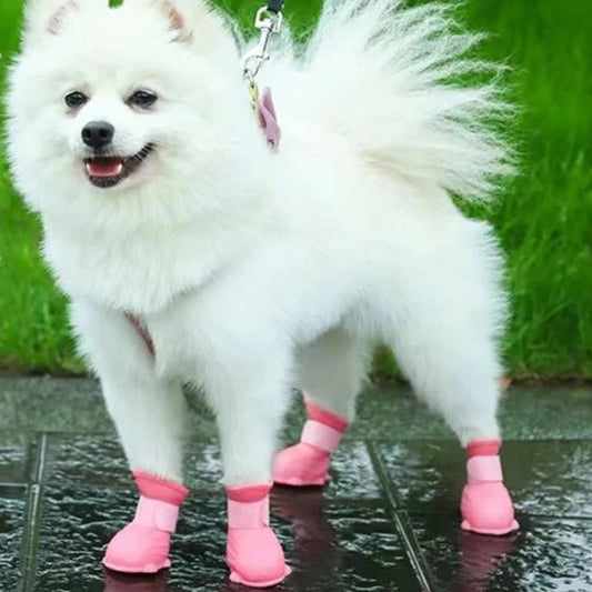 Chausson Silicone Chien