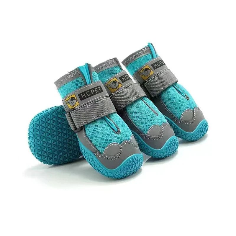 Chaussure Chien Randonnée Turquoise