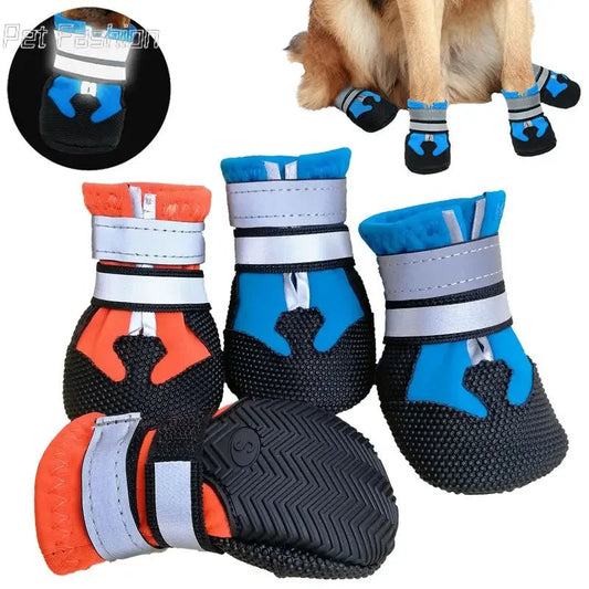 Chaussure Montagne Chien