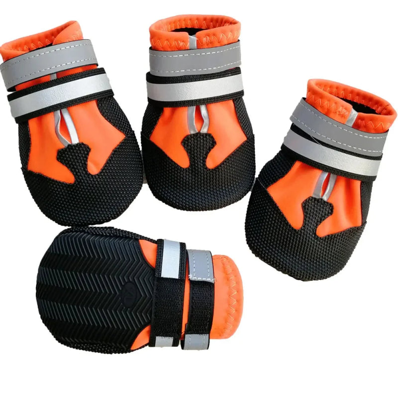 Chaussure Montagne Chien Orange