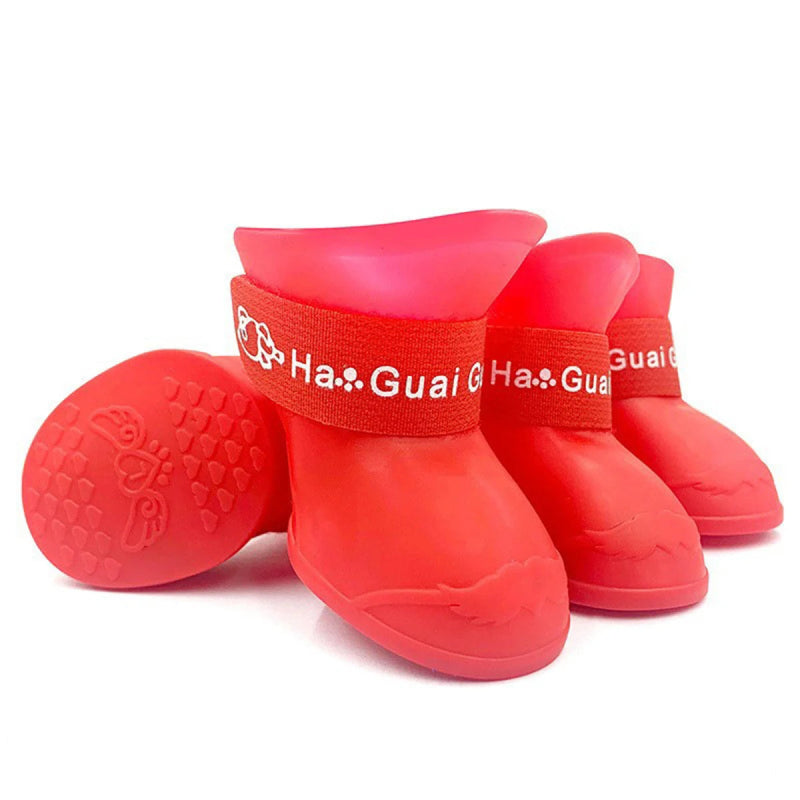 Chaussures d'Eau Chien Rouge