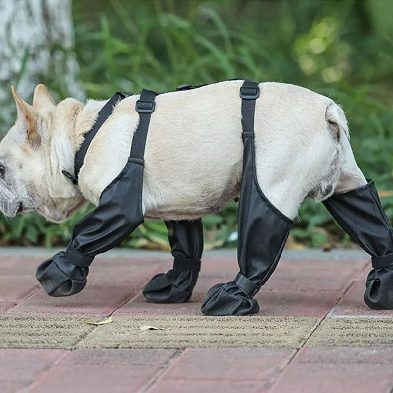 Couvre pattes pour chien