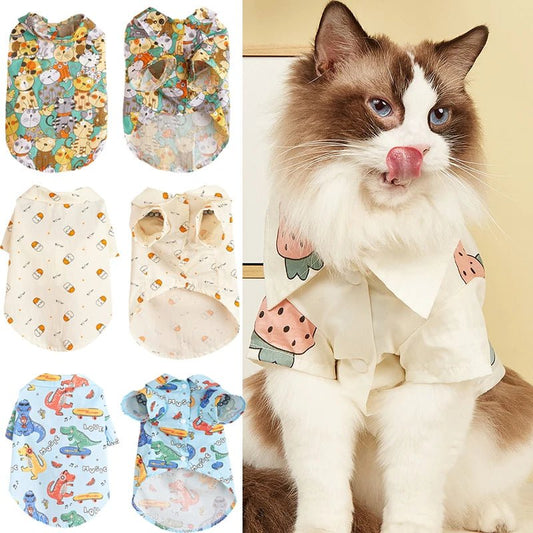 Chemise d'Été pour Chat