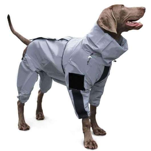 Combinaison Imperméable Chien