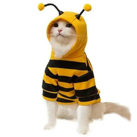 Costume Abeille Chat