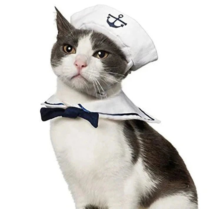 Costume de Marin pour Chat